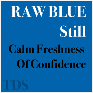 TDS RAW BLUE Still, лосьон 100мл спирт